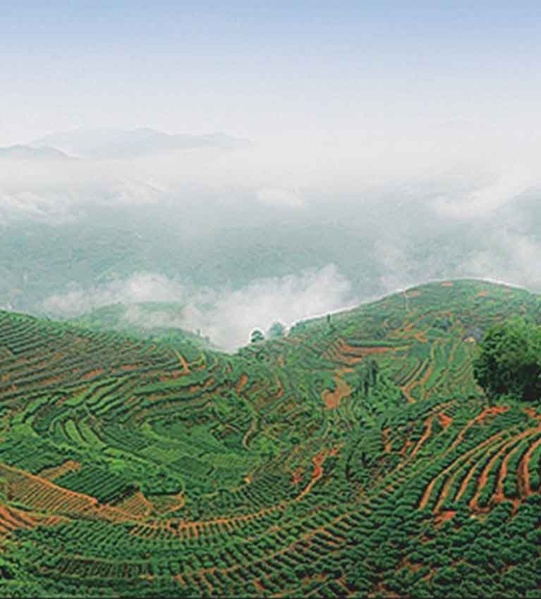 История железной богини